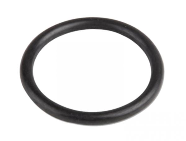 Gummidichtring für Verschlussschraube Gabelholm